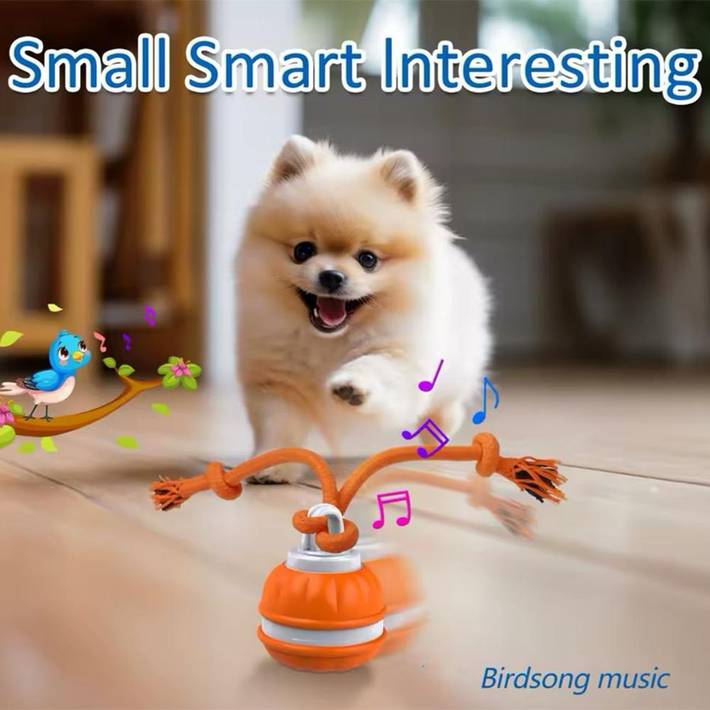 Smart Rolling Ball Toy, Interactive Pet Toy, Dog & Cat Accessories, Fun Indoor and Outdoor Pets Exercise Toys, Pet Products, Automatic Rolling Ball