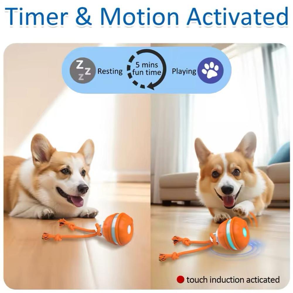 Smart Rolling Ball Toy, Interactive Pet Toy, Dog & Cat Accessories, Fun Indoor and Outdoor Pets Exercise Toys, Pet Products, Automatic Rolling Ball